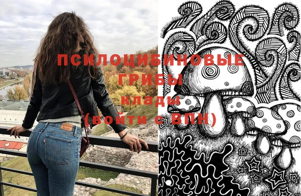 дживик Медвежьегорск