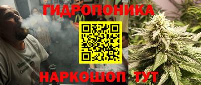 шишки Азнакаево