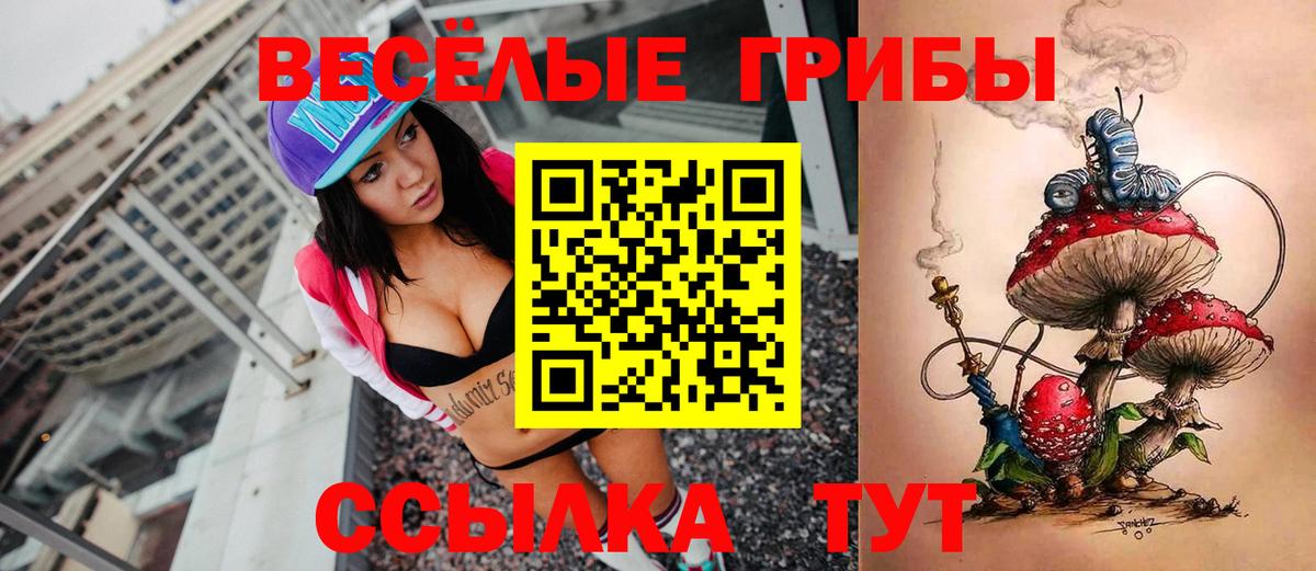 Псилоцибиновые грибы Magic Shrooms  Галлюциногенные грибы GOLDEN TEACHER  Камышлов 