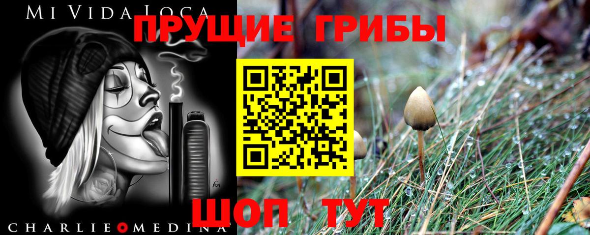 Галлюциногенные грибы Magic Shrooms Камышлов