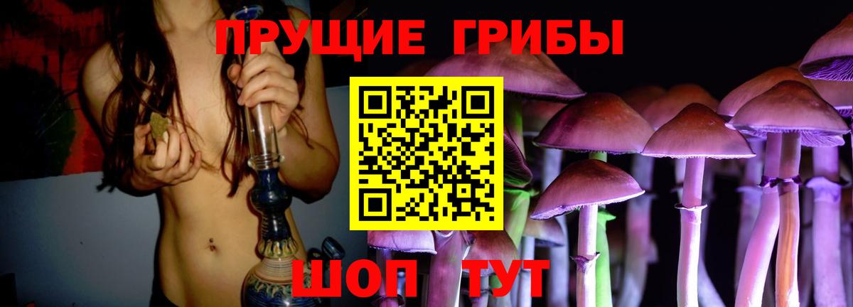 Псилоцибиновые грибы MAGIC MUSHROOMS  Вход с VPN  Камышлов  Галлюциногенные грибы MAGIC MUSHROOMS 
